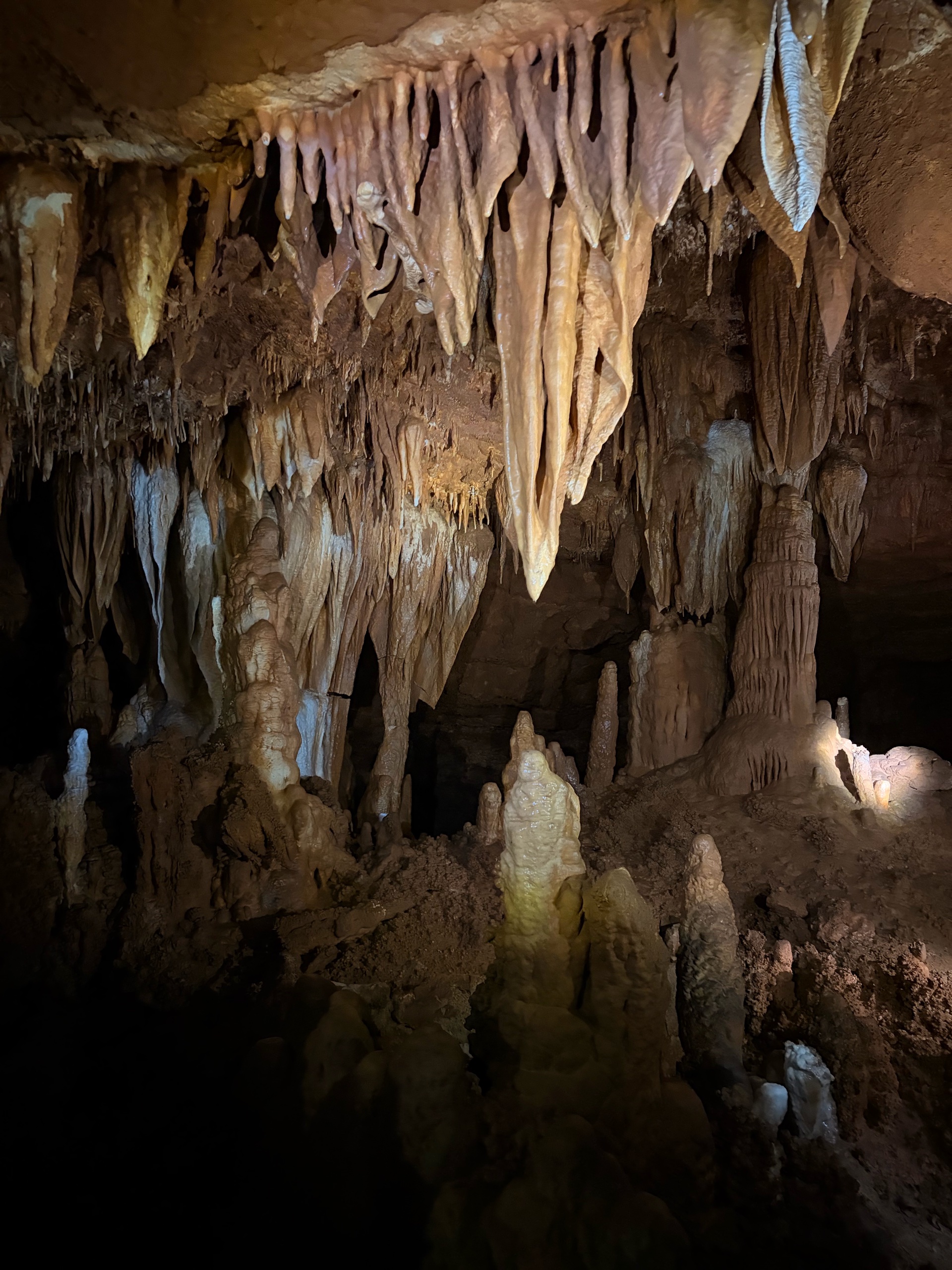 August Campout: Onondaga State Park- Hike/Cave Tour photo