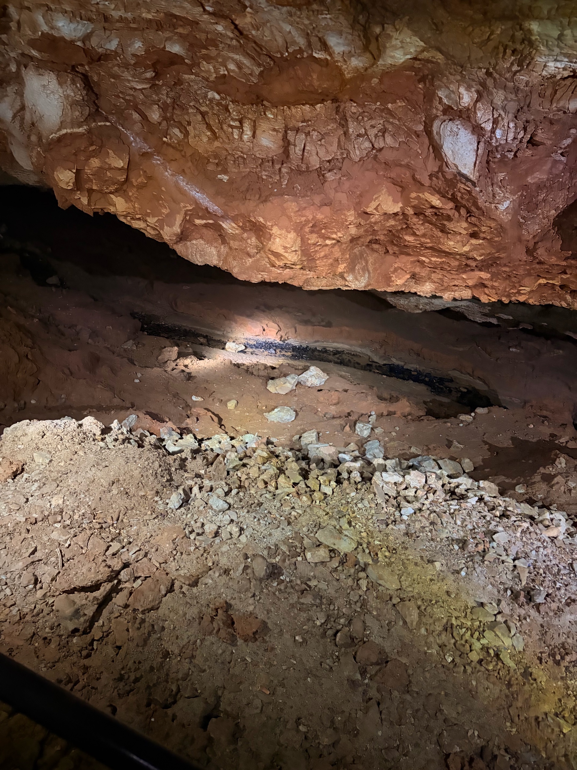 August Campout: Onondaga State Park- Hike/Cave Tour photo