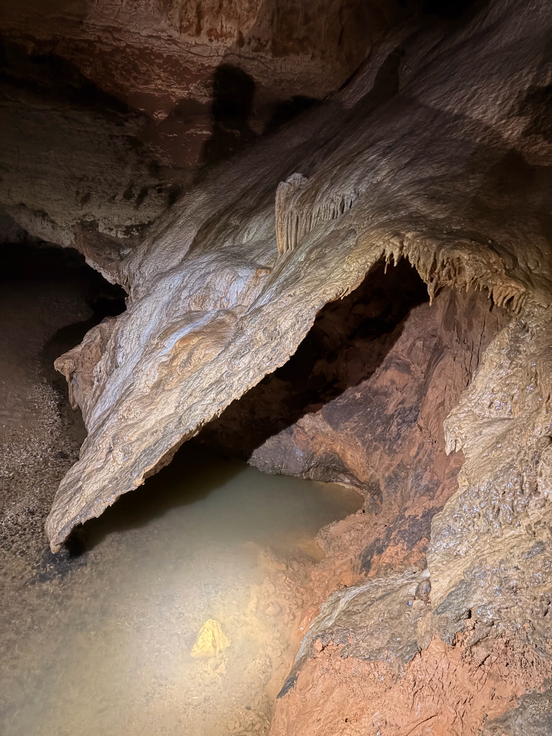 August Campout: Onondaga State Park- Hike/Cave Tour photo