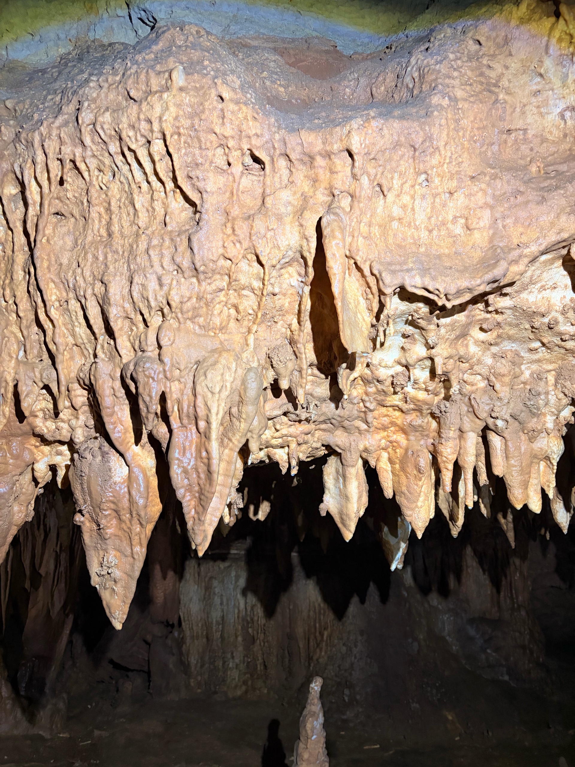 August Campout: Onondaga State Park- Hike/Cave Tour photo