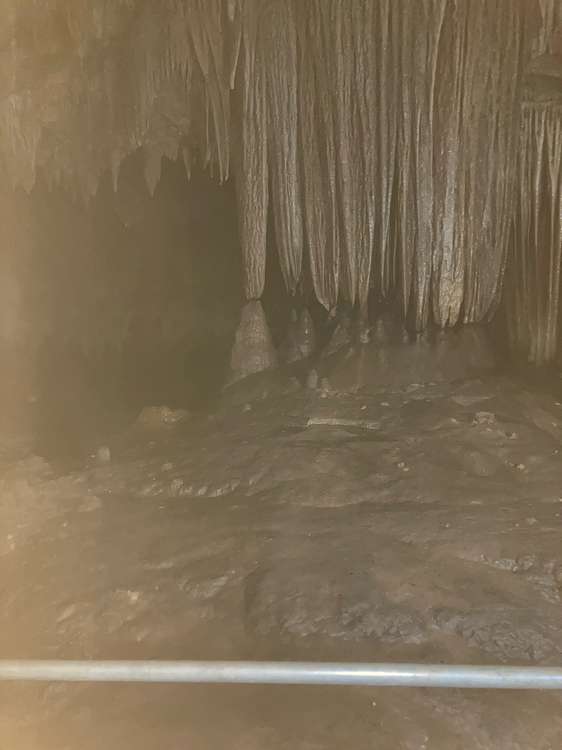 August Campout: Onondaga State Park- Hike/Cave Tour photo