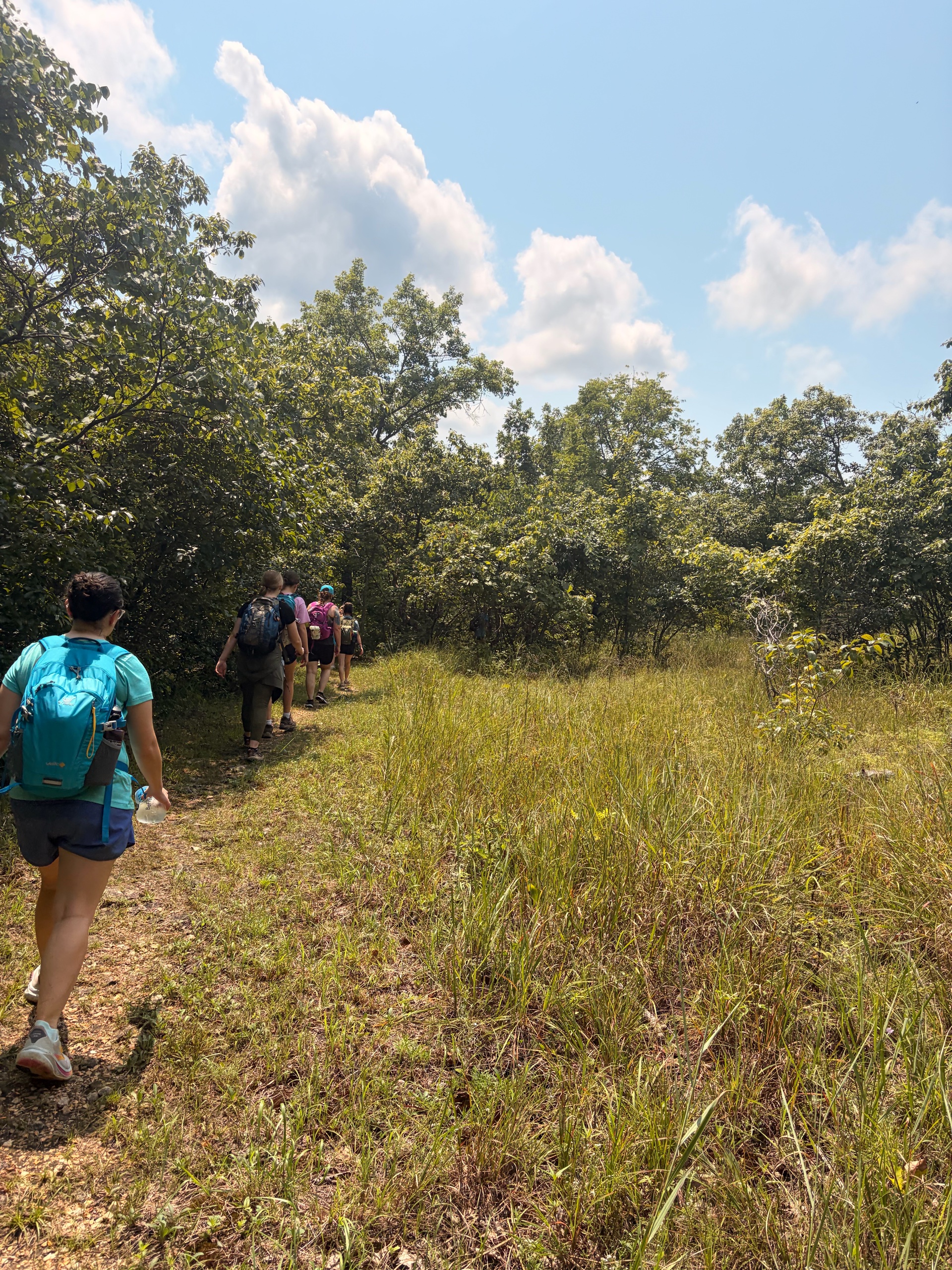 August Campout: Onondaga State Park- Hike/Cave Tour photo