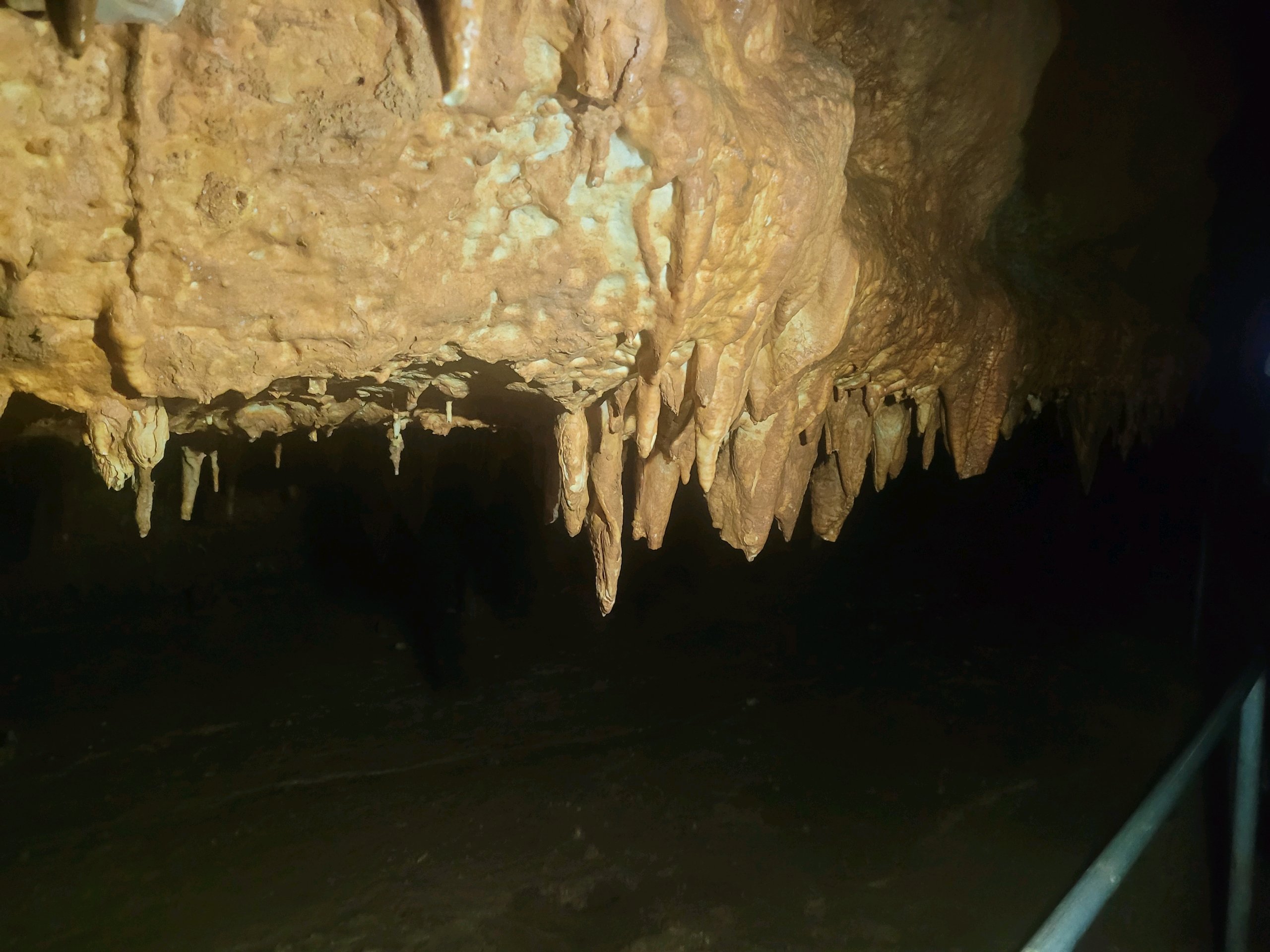 August Campout: Onondaga State Park- Hike/Cave Tour photo