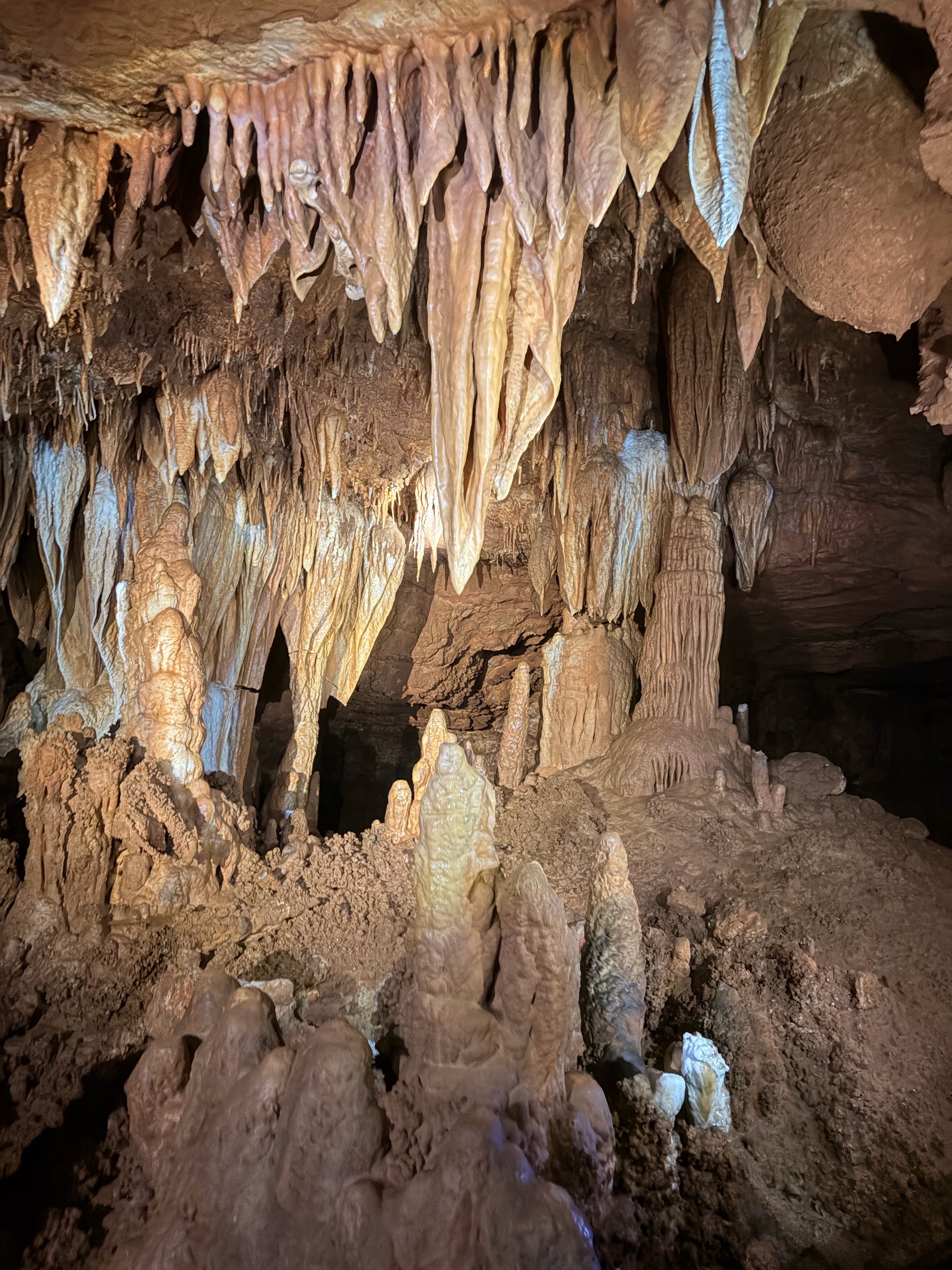 August Campout: Onondaga State Park- Hike/Cave Tour photo
