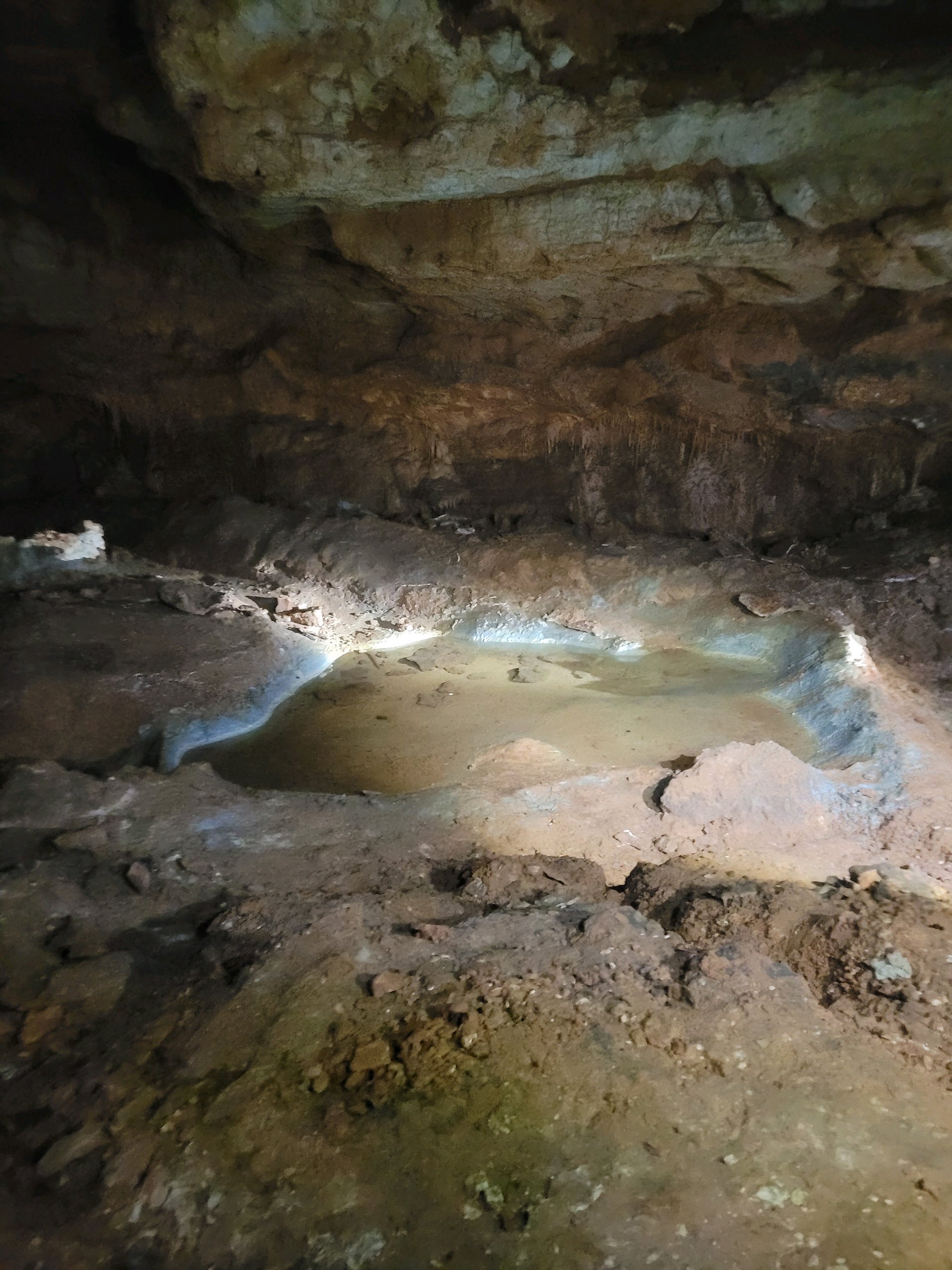 August Campout: Onondaga State Park- Hike/Cave Tour photo