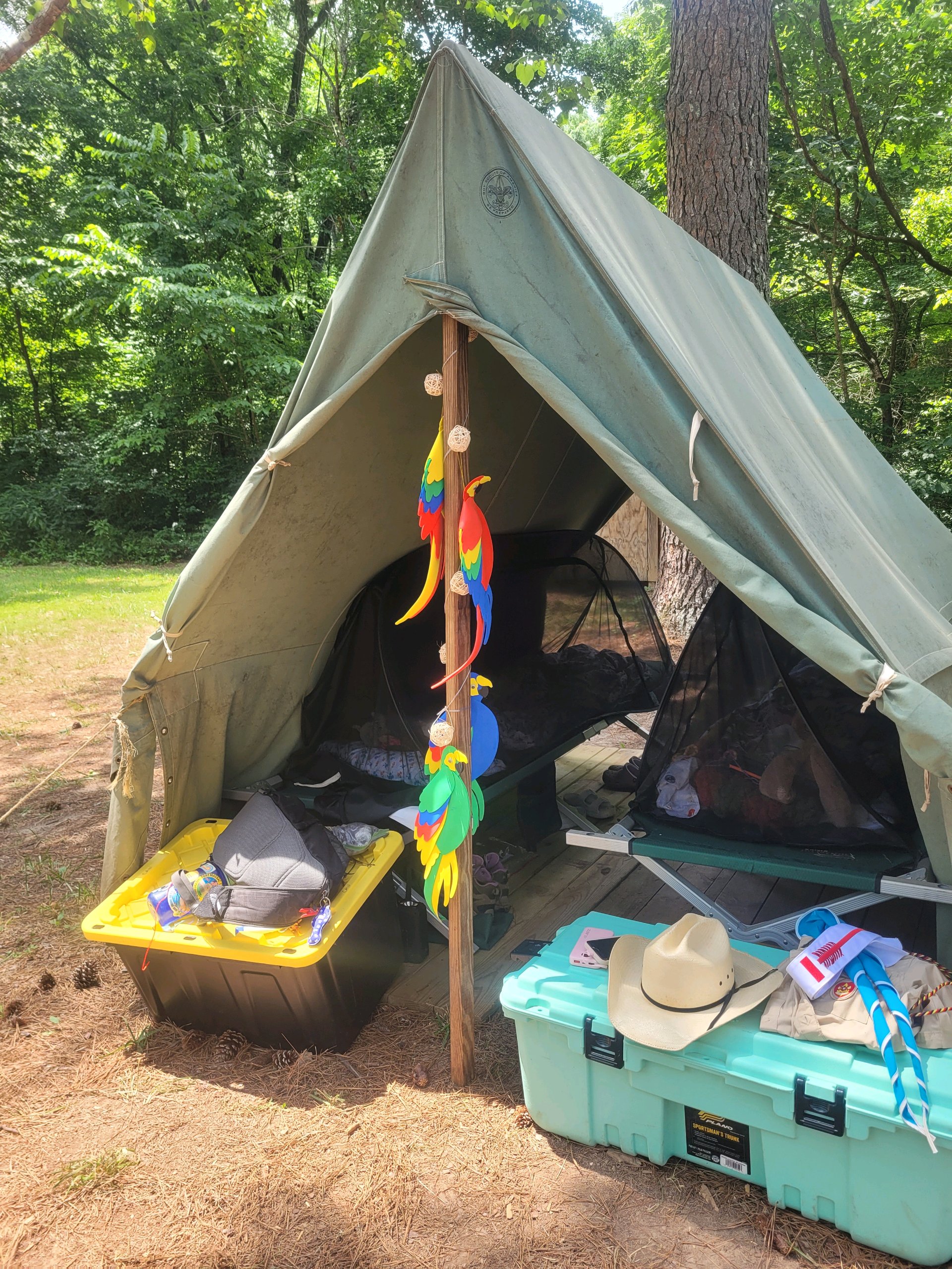 Summer Camp photo