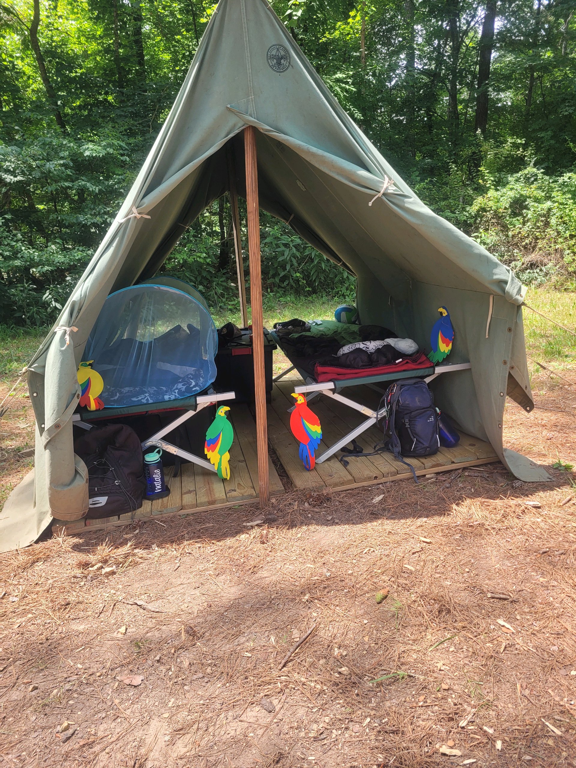 Summer Camp photo