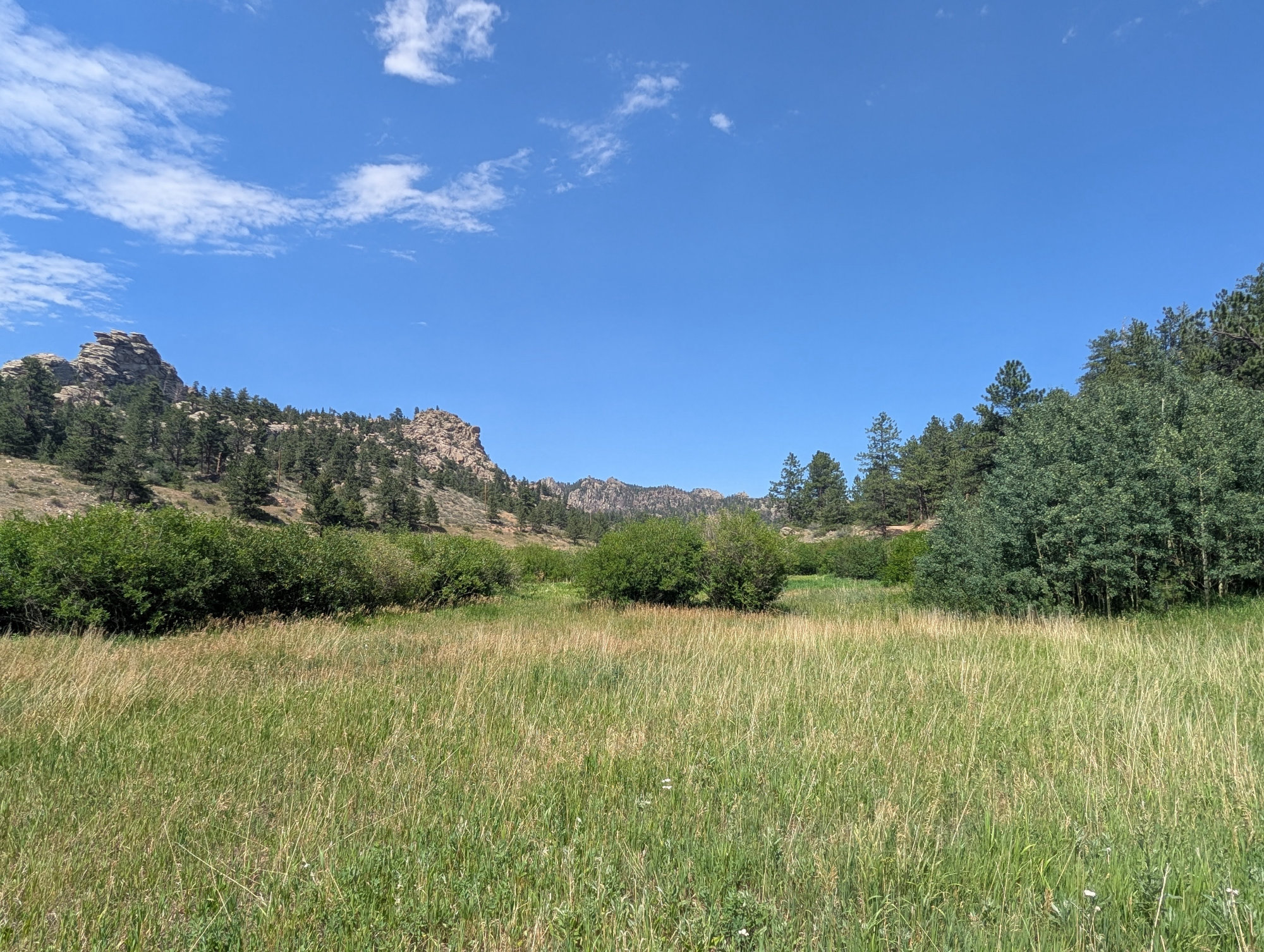 Summer Camp 2026 - BDSR photo