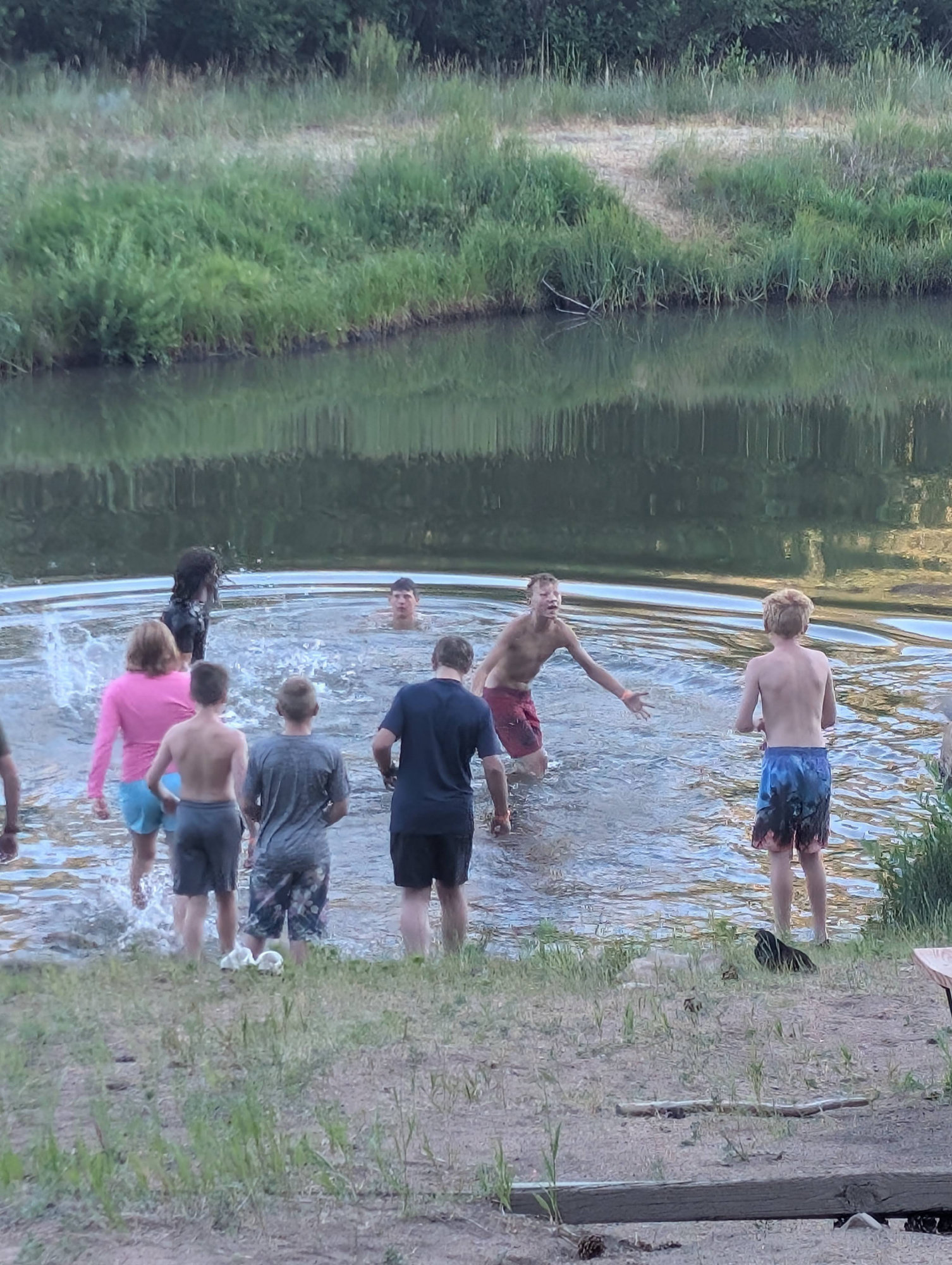 Summer Camp 2026 - BDSR photo