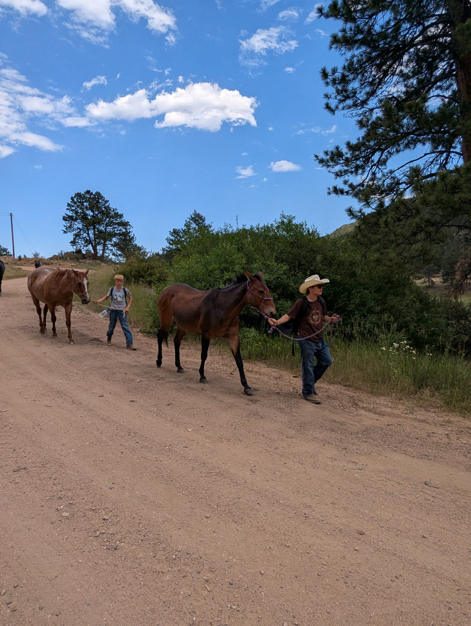 Summer Camp 2026 - BDSR photo