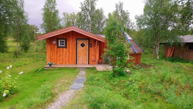 Tanabredden Opplevelser photo 4