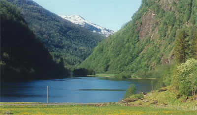 Mestad Camping photo 3