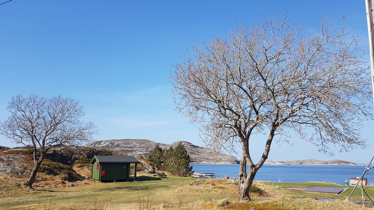 Holmen Coast Camping photo 5