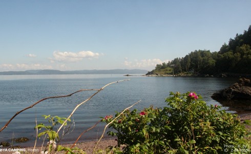 Løvøya Oslofjord photo 2