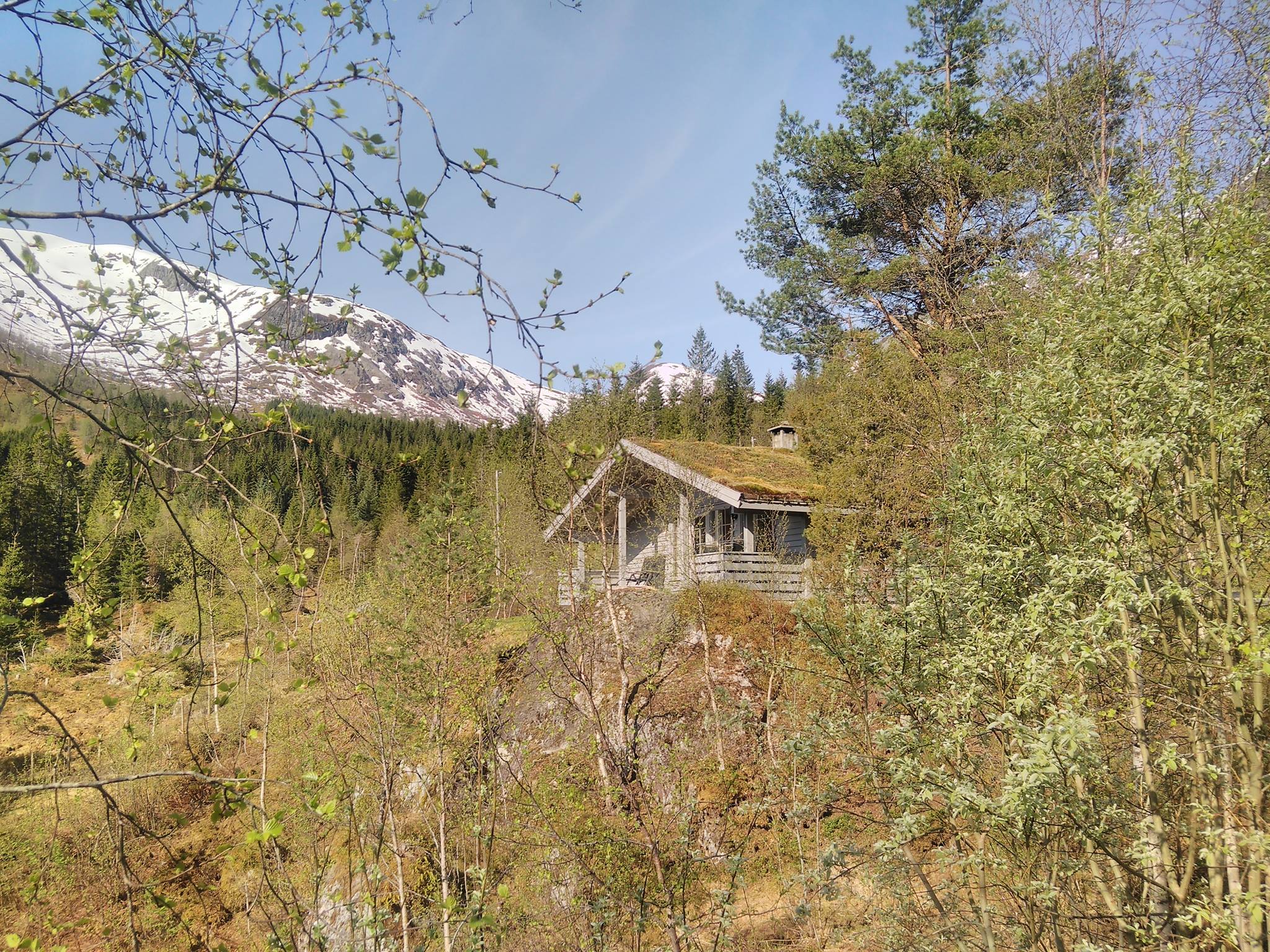 Jølsterlia Hyttetun photo 3