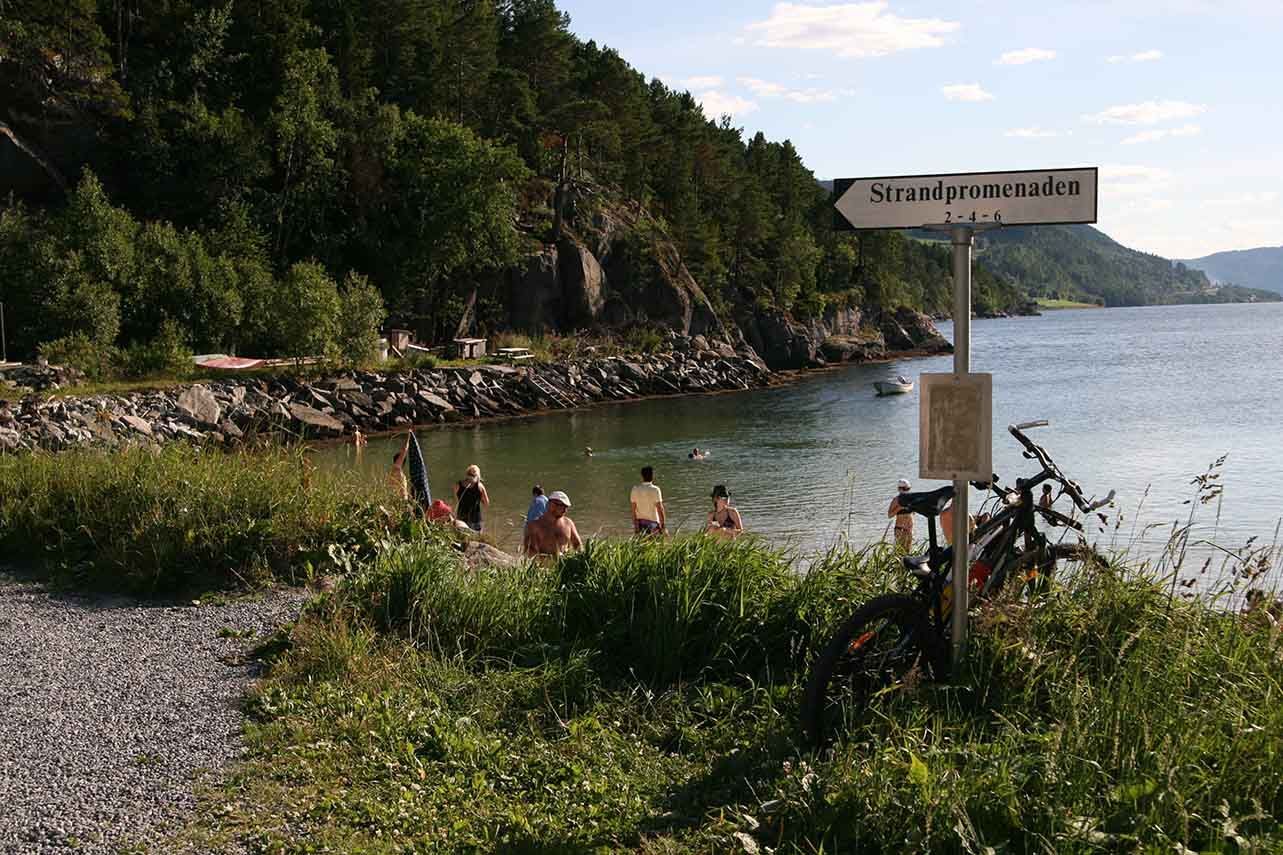 Tråsåvika Camping photo 5