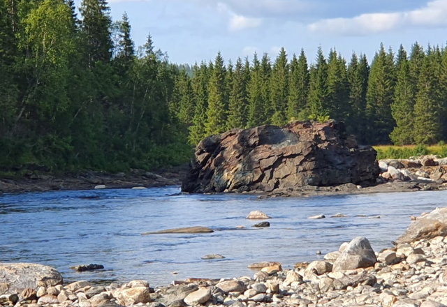 Osen Camping Elsfjord photo 2