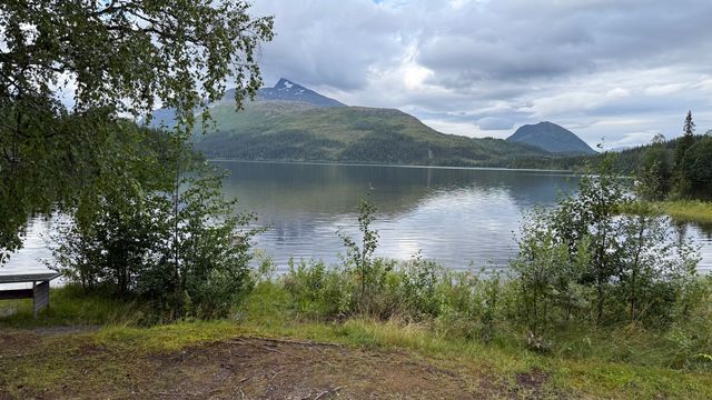 Osen Camping Elsfjord photo 3