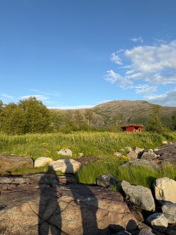 Holm Camping photo 5