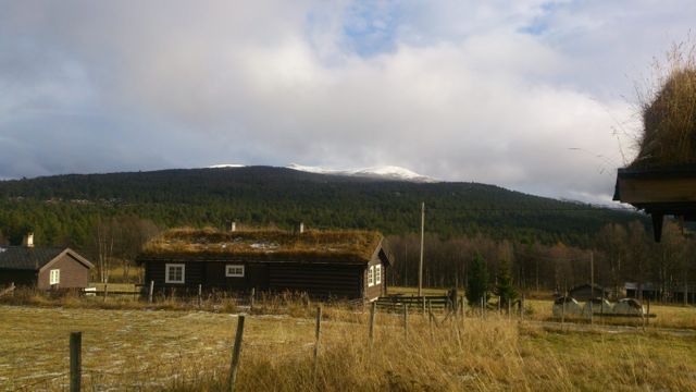 Kirketeigen Ungdomssenter og Camping photo 3