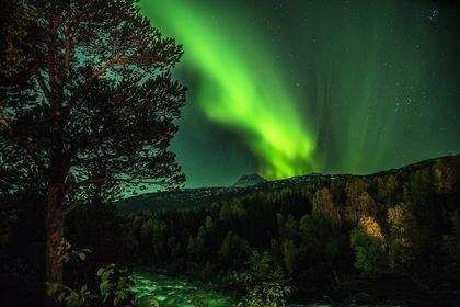 Sulitjelma Turistsenter, Campingen i Daja