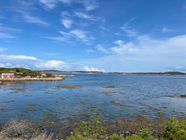 Skjerneset Bryggecamping photo 2