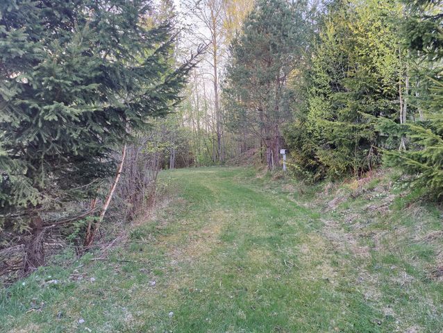 Holmfoss rentals and camping - Photo 2