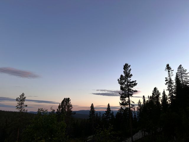 Friisvegen Måsåplassen Mountain Lodge photo 2