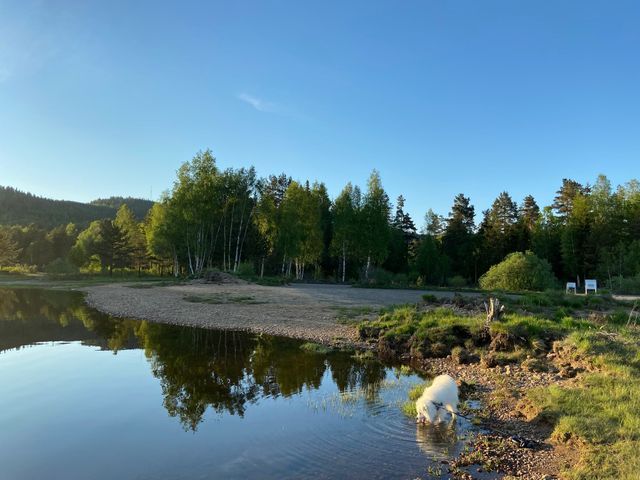 Hawaii Bobilcamp på Sørlandet photo 4