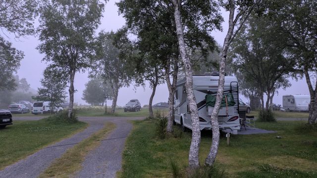 Vega Camping photo 3