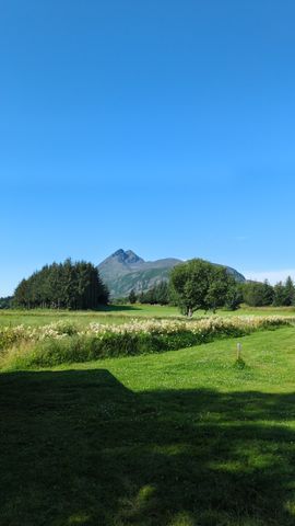 Vega Camping photo 2