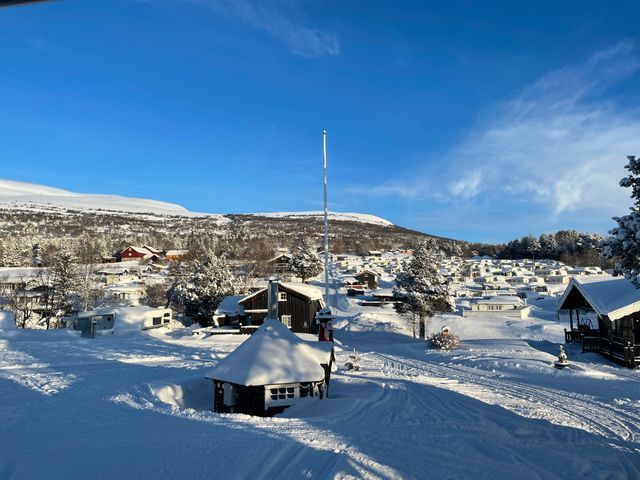 Breesgård Turistsenter photo 5