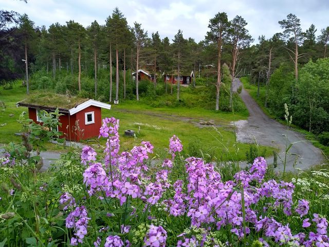 Byskogen Camping photo 2