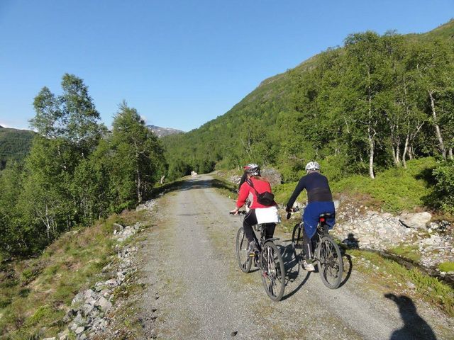 Loenvatn Feriesenter photo 5