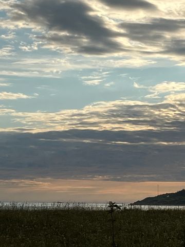 Storviksanden Camping photo 5