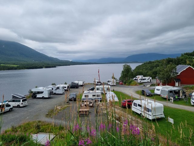 Skogly Camping Hustadvika photo 3