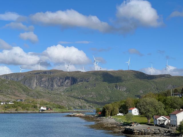 Roan Sjøcamping