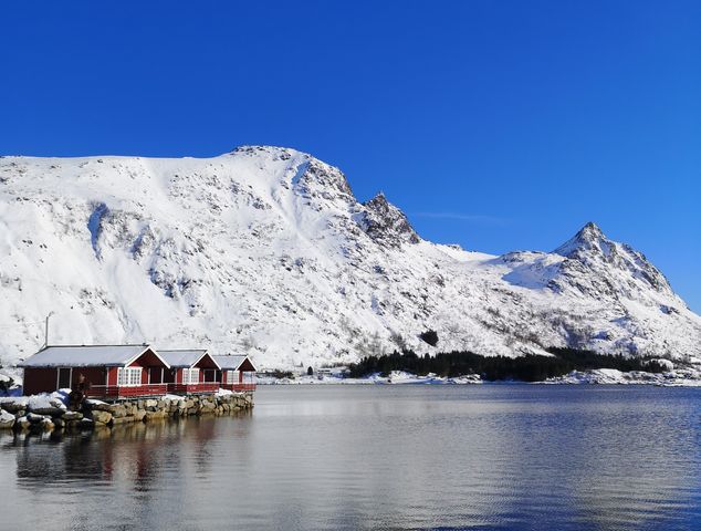 Lofoten Fjordcamp photo 3