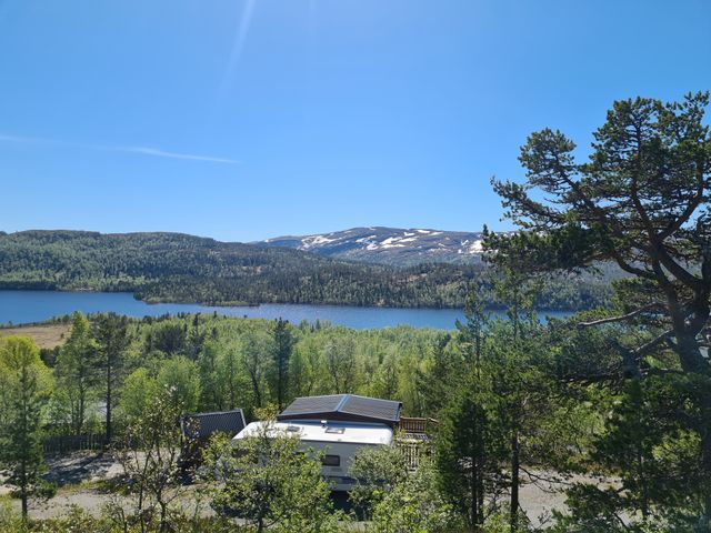 Ellingsgården Camping og hytter photo 4