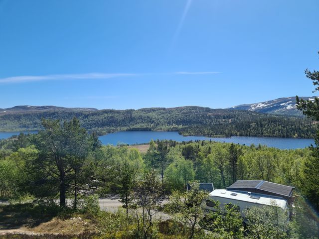 Ellingsgården Camping og hytter photo 5