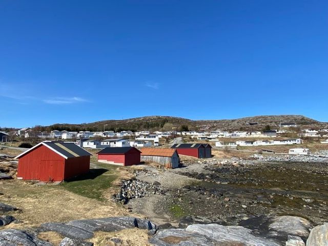 Breivika Camping photo 3