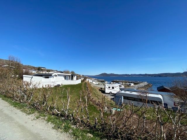Breivika Camping photo 2