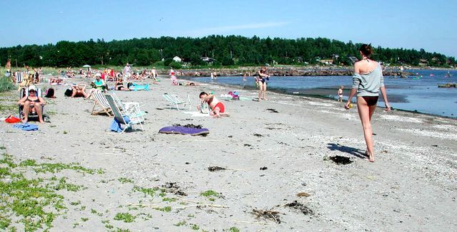 Skallevold Campingplass photo 3