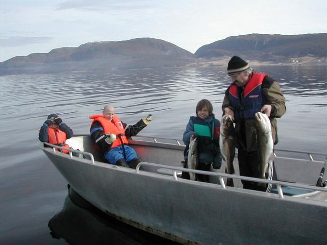 Frosta Fjordbuer photo 3