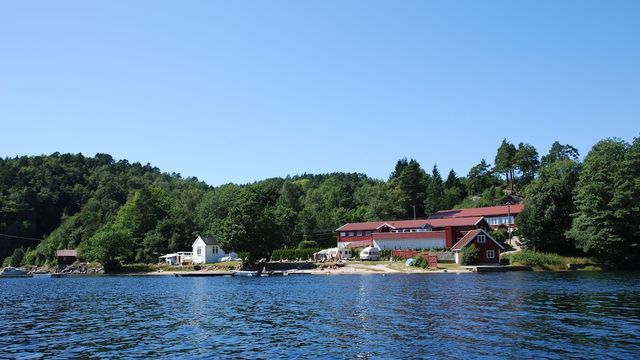 Sørlandets naturistsenter photo 3