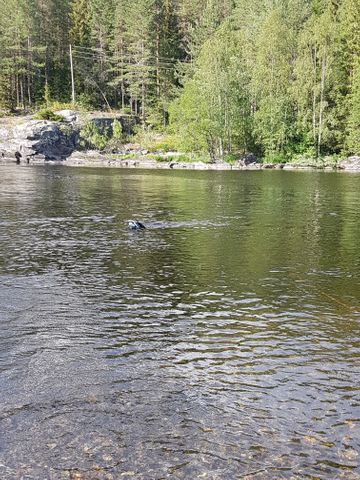Fossen Camping - Photo 2