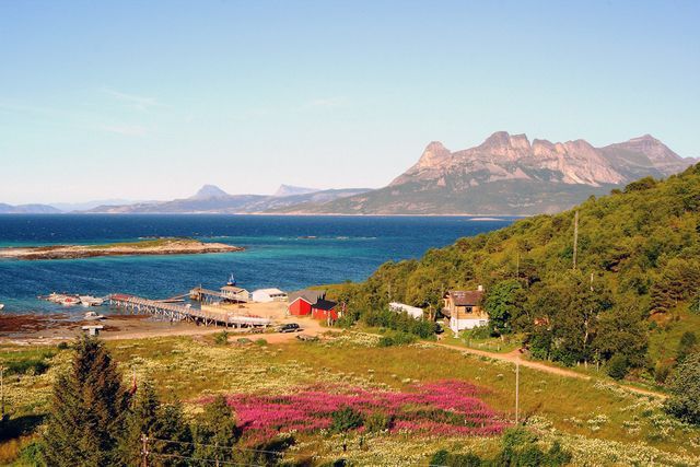 Sommersel Fishing Camp photo 3