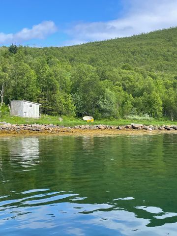 Senja Fjordcamp photo 3
