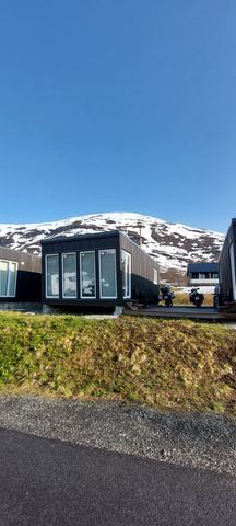 Lapphaugen Turiststasjon photo 2