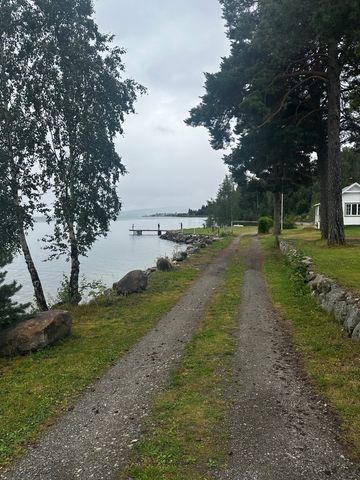 Furuseth Gård - Gjøvik bobilpark photo 3
